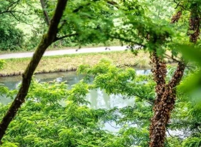 Bed & Breakfast La Demeure Du Bord'o Lagruere